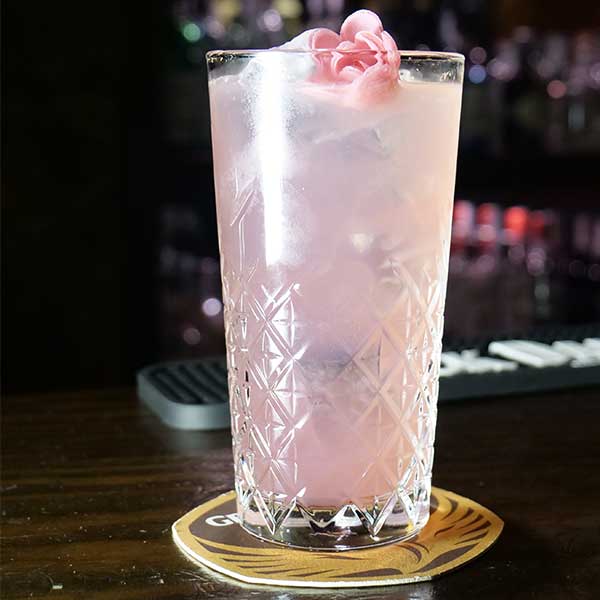 cocktail